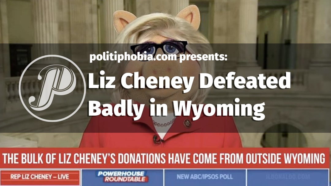 Liz Cheney, daughter of that miserable bastard Dick Cheney lost her re-election badly. Liz is most likely the Republican's biggest Rhino ever asside from Mitt Romney (who by the way will lose any future election).