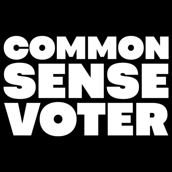 Common Sense Voter T-Shirt - Conservative Tee back graphic design