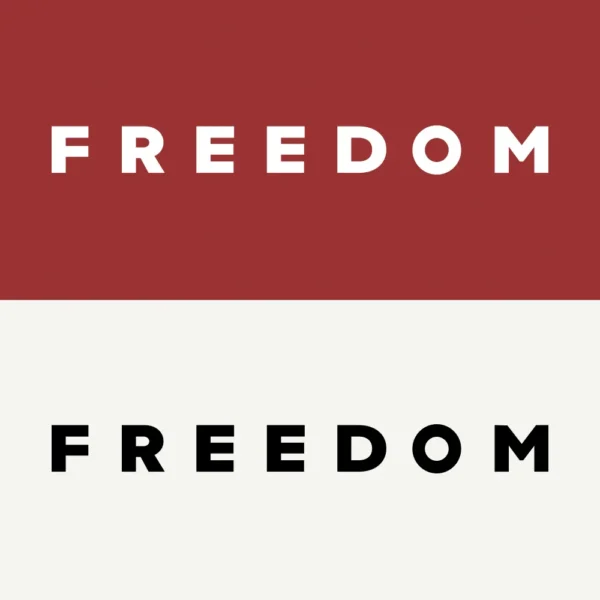 Charlie Kirk Freedom T-shirt – front memorial patriot graphic design - red-white and white-black designs